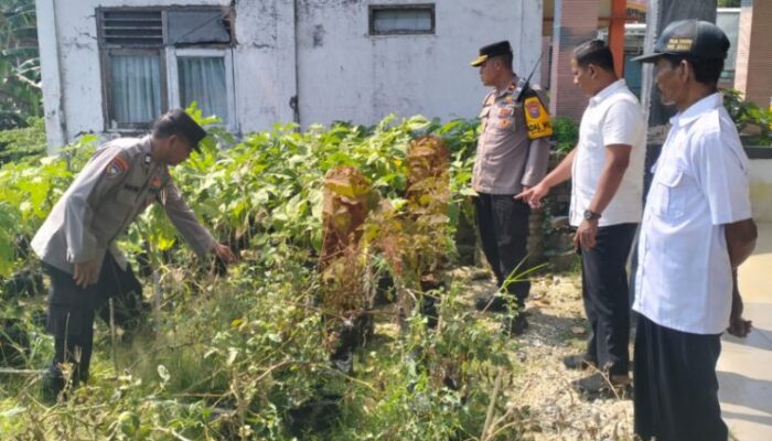 Kapolsek Babat Monitoring Program P2B di Desa Truni Kecamatan Babat 