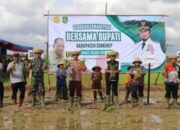 DKPP Sumenep Gencarkan Gerakan Tanam Padi, Wujud Nyata Ketahanan Pangan Berkelanjutan
