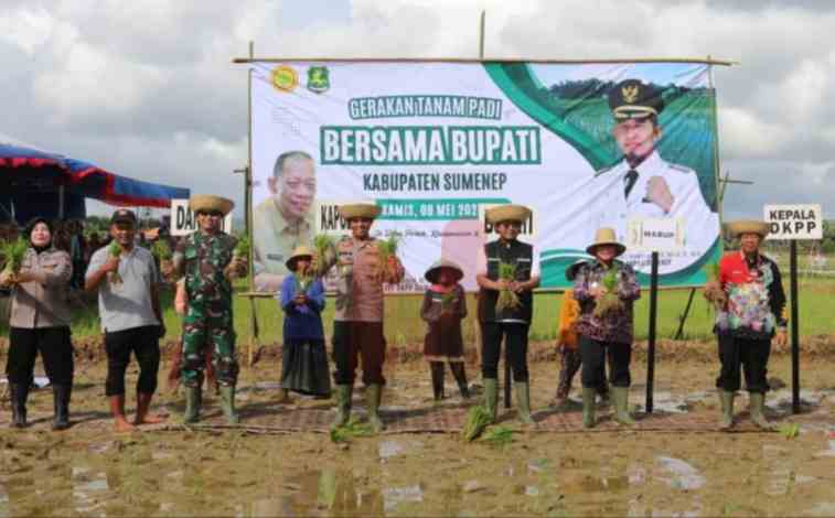 Foto: Bupati Fauzi bersama Dinas Ketahanan Pangan dan Pertanian (DKPP) Kabupaten Sumenep, saat menggelar Gerakan Tanam Padi di Desa Poreh, @by_News9.id