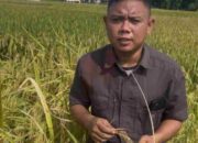 Banjir Rendam Lahan di Torbang, Petani Milenial Desak Aksi Nyata Pemdes bukan Janji