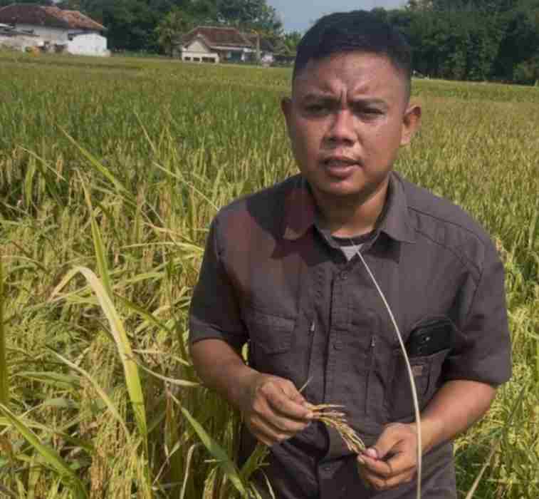 Foto: Yoga, pemuda tani melenial sekaligus pengurus BGE Bawafie green Earth Foundation. @by_News9.id