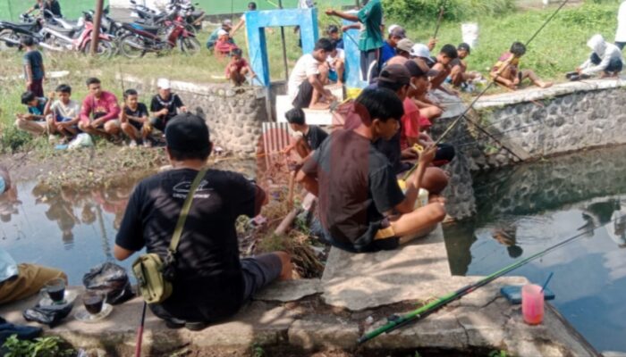 Ikan Bertanda Uang Tunai dan 2 Kwintal Lele-Nila Ramaikan Dam Ateran, Cara Unik Desa Tempeh Tengah Hiburan Warga