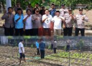 Gapoktan Nirwana Jadi Contoh P2B, Polres Sumenep Tinjau Inovasi Pertanian Pekarangan