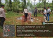 Cepat Tanggap, Polsek Sokobanah Bubarkan Sabung Ayam Ilegal