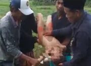 Bocah 9 Tahun Meninggal Dunia, Diduga Tenggelam di Sungai