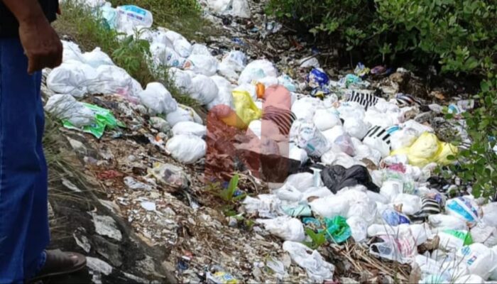 Kalianget Timur Dikepung Sampah, Dana Desa Miliaran Dipertanyakan