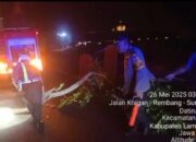 Polsek Babat Evakuasi Pohon Tumbang Halangi Jalan