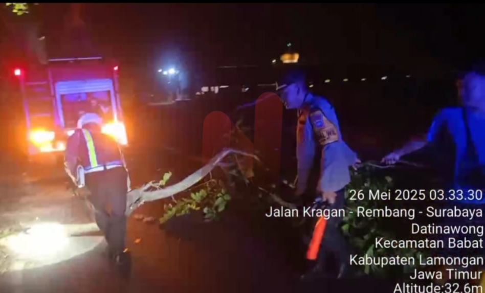 Foto: Kegiatan Quick Respons cepat Polsek Babat saat ada pohon tumbang menghalangi Jalan Raya Babat – Surabaya, @by_News9.id