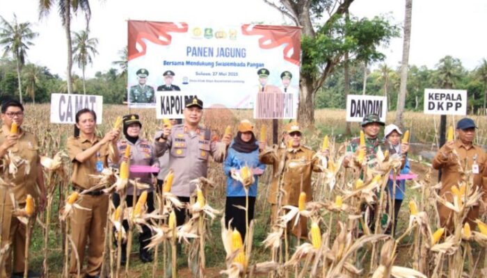 Kapolres Sumenep Bersama Forkopimda Panen Jagung Bersama di Desa Ellak Daya