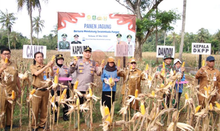 Foto: Kapolres Sumenep AKBP Rivanda, bersama Wakil Bupati KH. Imam Hasyim, dan Dandim 0827/Sumenep Letkol Inf Yoyok Wahyudi, saat turun langsung ke sawah melaksanakan panen jagung. @by_News9.id