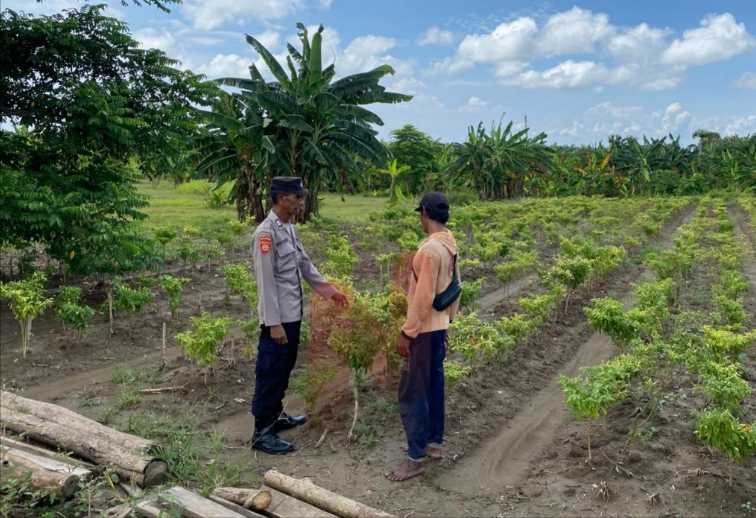 Foto: Polsek Laren Polres Lamongan Polda Jatim melaksanakan pengecekan rutin pekarangan bergizi. @by_News9.id