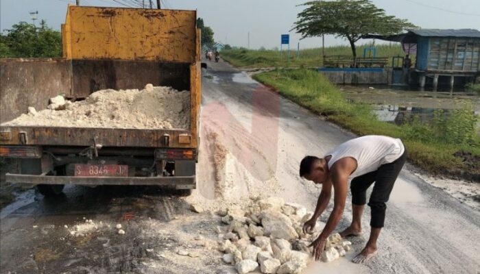 Dinas PU Bina Marga Lamongan Gerak Cepat Lakukan Perbaikan Jalan Berlubang di Kecamatan Sekaran