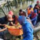 Foto: Tim SAR Gabungan berhasil menemukan korban atas nama Riski (30), warga Dusun Cumpleng, Desa Brengkok, @by_News9.id