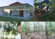 Detikzone.id Hibahkan Tanah untuk Pembangunan Musholla dan Jalan Akses ke TPU di Sumenep