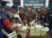 Masalembu Darurat Narkoba, Zona Hitam di Tengah Laut Madura