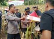 Kapolresta Banyuwangi Laksanakan Panen Raya Jagung Serentak Kuartel II Bersama Kelompok Tani 