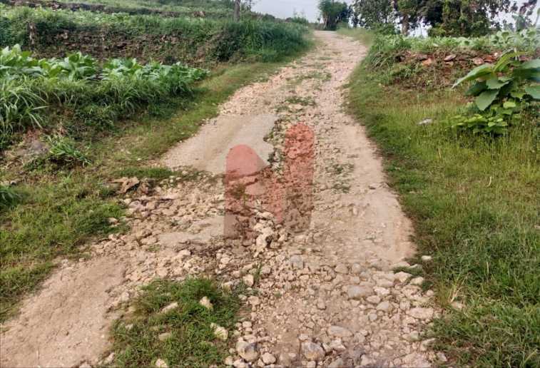 FOTO: Kondisi jalan yang rusak parah di Dusun Andung, Desa Lebeng Timur, @by_News9.id