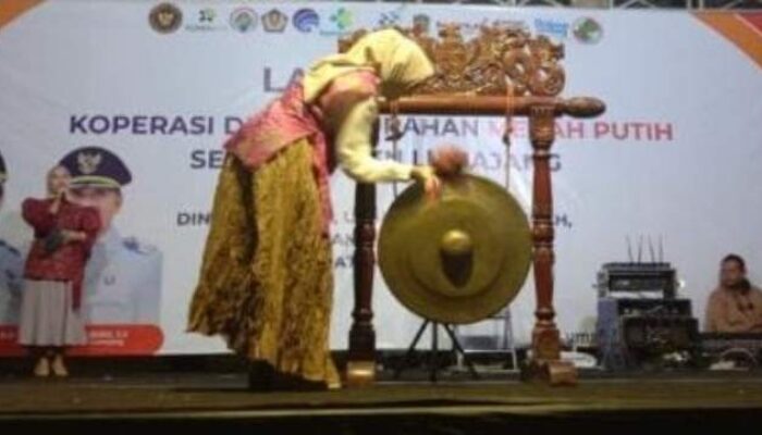 Disperindag Kabupaten Lumajang Gelar Launching Koperasi, 205 Koperasi Merah Putih Terima SK