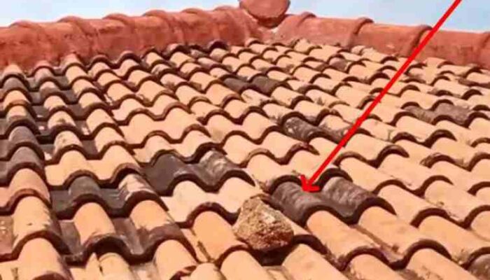 Teror Batu Gili Iyang, Bayang Mafia Menghantui Hukum