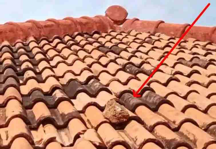 FOTO: Batu di Rumah Hosriyani, warga Dusun Bancamara, Pulau Gili Iyang. @by_News9.id