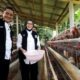 FOTO: Bupati dan Wakil Bupati Lumajang di Desa Buwek Kec Randuagong. @by_News9.id
