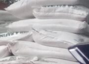 Masuknya GKR di Kabupaten Lumajang Diduga Berdampak pada Petani Tebu dan Petani Gula Merah Kelapa