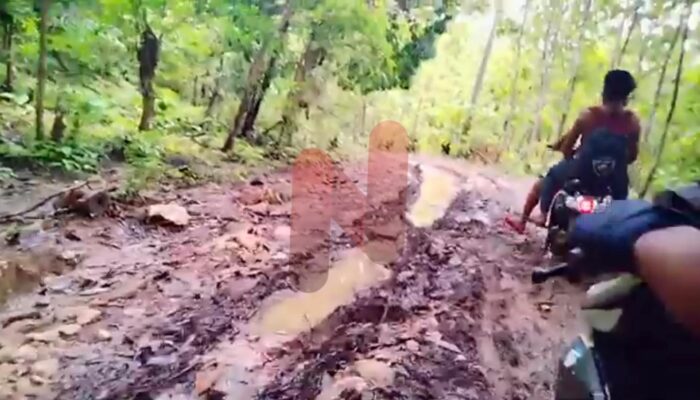 HAMAS Desak Dinas PUTR Kabupaten Sumenep Proaktif Tangani Jalan Rusak di Kepulauan