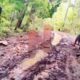 FOTO: Jalan poros di Pulau Kangean dan Pulau Sepanjang, Kecamatan Sapeken. @by_News9.id