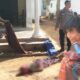 FOTO: Seorang nenek tergeletak tewas mengenaskan setelah diduga menjadi korban penganiayaan oleh cucunya sendiri. @by_News9.id
