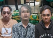Tiga Pelaku Curat Daramista Dibekuk Polsek Lenteng