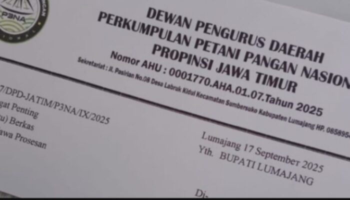 P3NA Minta Pemkab Lumajang Segera Tindak Gula Jawa Prosesan