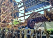 Alokasikan DBHCHT 1,9 Miliar Rupiah untuk Kelompok Rentan Buruh Tembakau di Lumajang