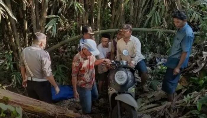 Mayat Busuk di Bawah Jembatan Gegerkan Warga Desa Mlawang Lumajang