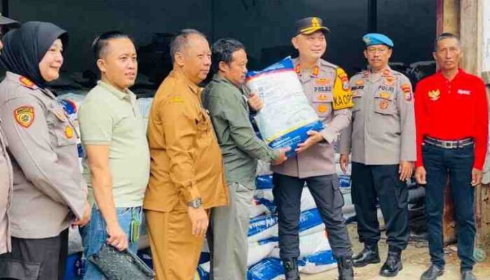 Pemkab Sumenep Salurkan Bantuan Bibit Jagung Unggul untuk 655 Kelompok Tani