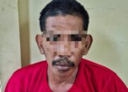 Polisi Tangkap Komplotan Maling Sapi di Ganding