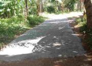 Warga Kramian Bangun Jalan Sendiri, Pemerintah Desa dan Kabupaten Jadi Penonton