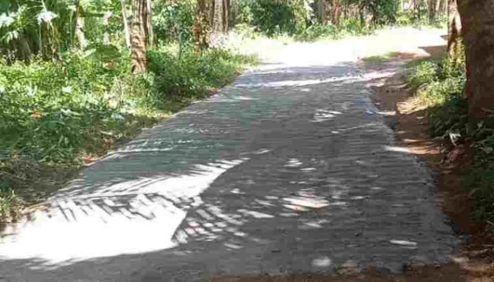 Warga Kramian Bangun Jalan Sendiri, Pemerintah Desa dan Kabupaten Jadi Penonton