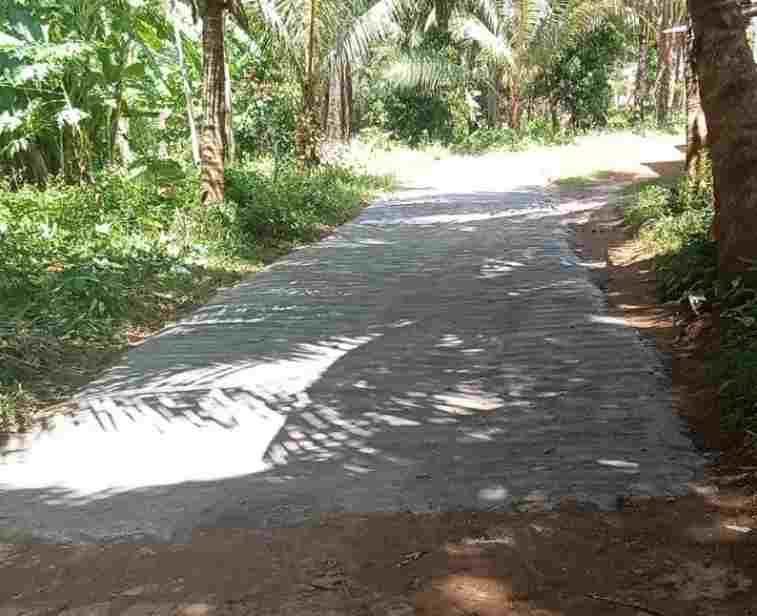 Warga Kramian Bangun Jalan Sendiri, Pemerintah Desa dan Kabupaten Jadi Penonton