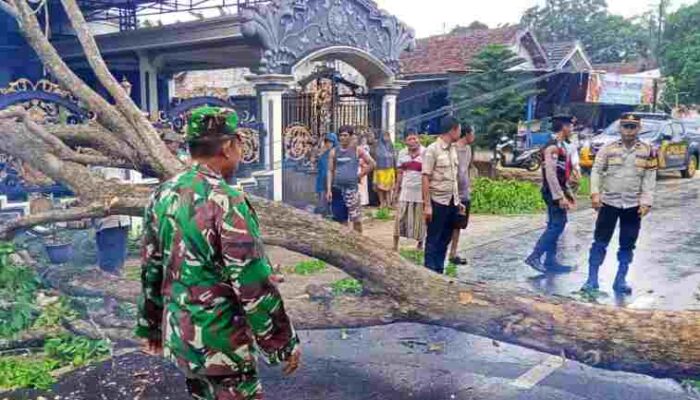 Respons Cepat, Pamapta Polres Tangani Pohon Tumbang