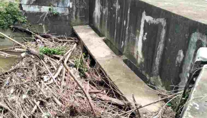 Warga di Sampang Keluhkan Saluran Tersumbat, Sawah Terendam dan Akses Jalan Terputus
