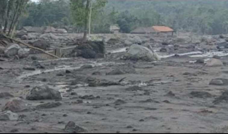 Sekitar 30 Hektar Dari 309 Hektar lahan Kecamatan Pronojiwo Terdampak Erupsi Gunung Semeru