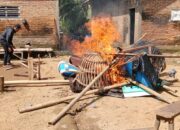 Respon Cepat Polsek Pesanggaran Gerebek Arena Sabung Ayam