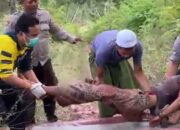 Pria Tanpa Identitas Ditemukan Bersimbah Darah di Sampang, Polisi Selidiki Dugaan Pembunuhan Sadis