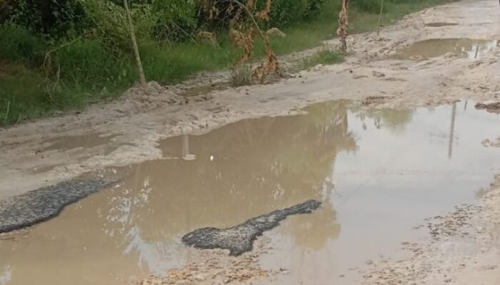 Jalur Vital Batang Batang–Batu Putih Hancur Total, Bupati Sumenep Hanya Menonton