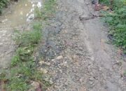 Klaim Tak Sesuai Realita: Kades Batang-Batang Laok Dianggap Tak Mampu Urus Infrastruktur