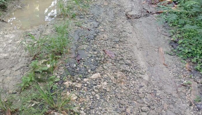 Klaim Tak Sesuai Realita: Kades Batang-Batang Laok Dianggap Tak Mampu Urus Infrastruktur