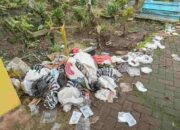 Miris !! Kuburan Desa Kromengan Penuh Sampah
