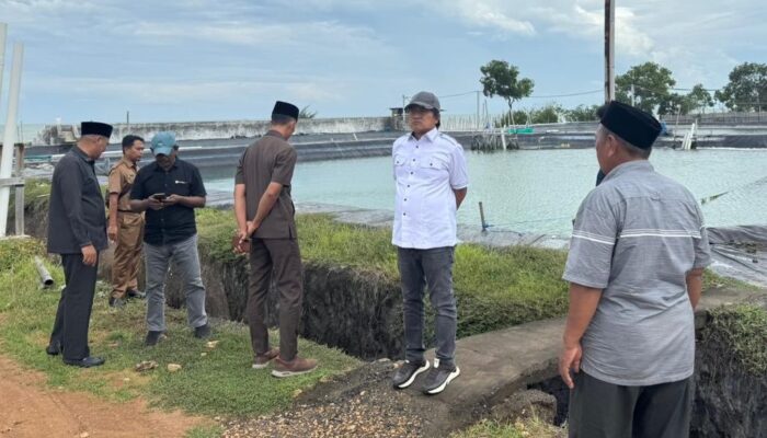 Pemkab Sumenep Harus Tutup Tambak Udang Bodong