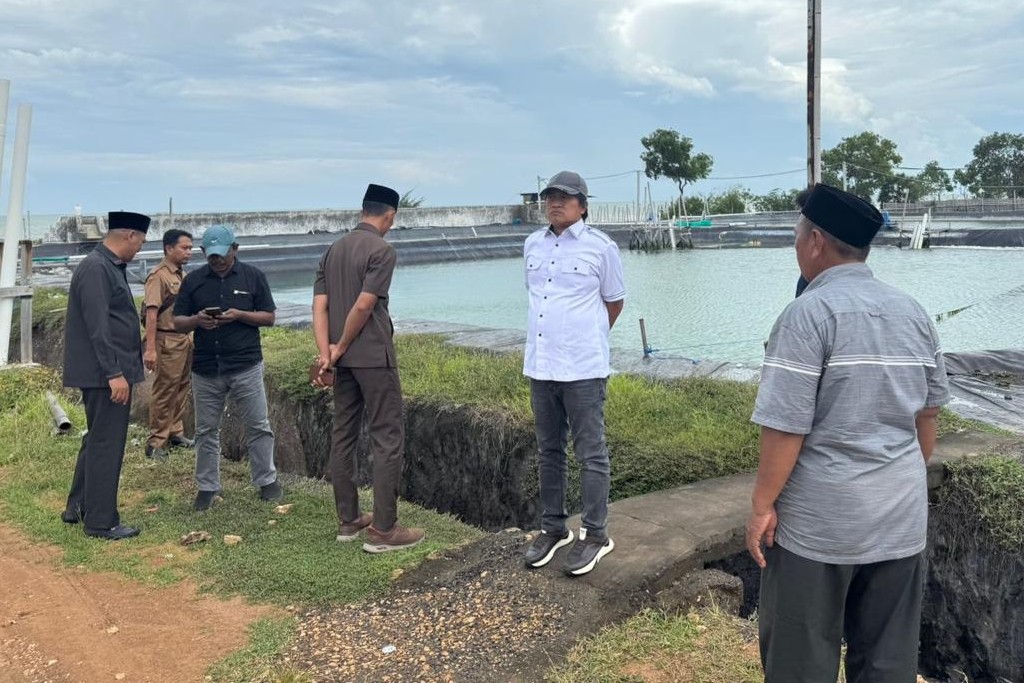 Pemkab Harus Tutup Tambak Udang Bodong