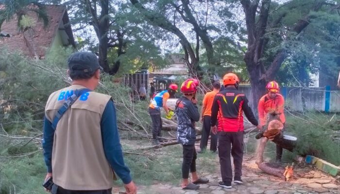 BPBD Bergerak Cepat Tangani Dampak Angin Kencang di Sampang